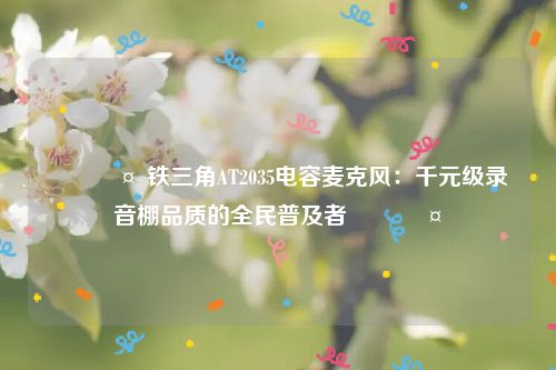 🎤 铁三角AT2035电容麦克风：千元级录音棚品质的全民普及者 🎤