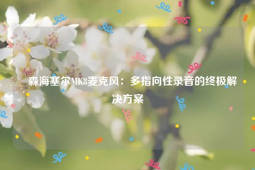 ​森海塞尔MK8麦克风：多指向性录音的终极解决方案