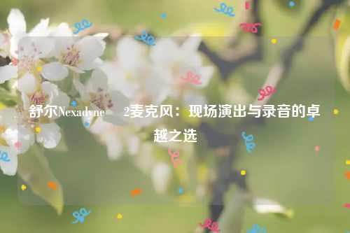 舒尔Nexadyne™ 2麦克风：现场演出与录音的卓越之选