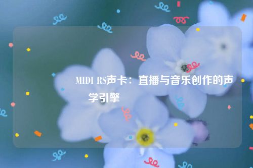 🎛️ MIDI RS声卡：直播与音乐创作的声学引擎 🎛️