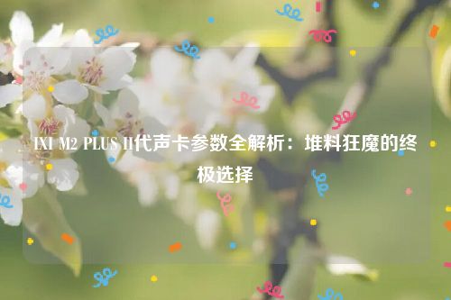 IXI M2 PLUS II代声卡参数全解析：堆料狂魔的终极选择